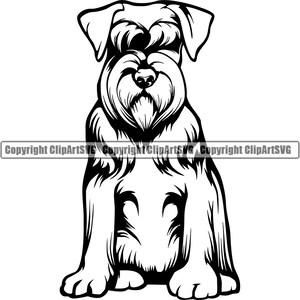 Schnauzer hondenras zitten zitten gelukkige glimlach Paw Puppy Pup Pet Shop Canine K9 miniatuur gigantische Design Logo SVG PNG Clipart Vector knippen snijden