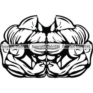 Op de afbeelding: Zwart-witte illustratie van een gespierde torso met gedefinieerde biceps en triceps. De afbeelding is symmetrisch en toont de vooraanzicht van het lichaam.