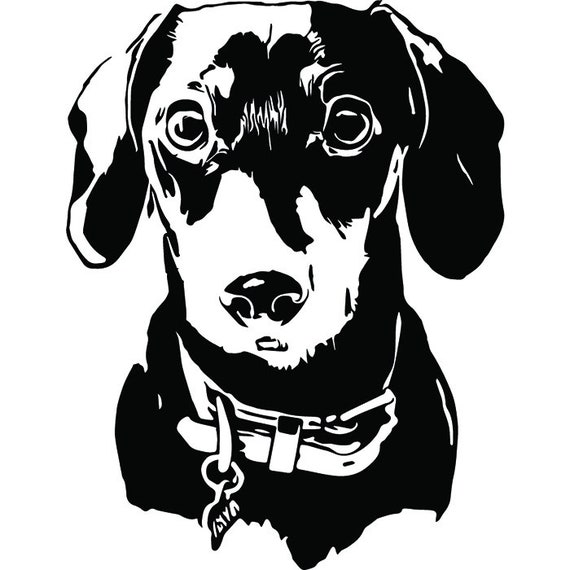 Dachshund 2 Dog Breed Wire Smooth Long Haired K9 Animal