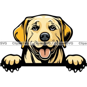 Gelber Labrador Retriever lächelnd spähender Hund Welpe Gesicht Eckzahn Haustier Portrait Labrador Cartoon Zeichnung Kunst Logo Tattoo Design SVG PNG Schneiden Schneiden