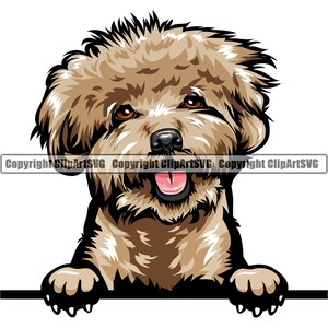 Poodle Dog Breed Peeking Peek-A-Boo Happy Puppy Pet Color Artwork Cocker Spaniel Cockapoo Labradoodle Yorkiepoo Logo PNG SVG Clipart Vector
