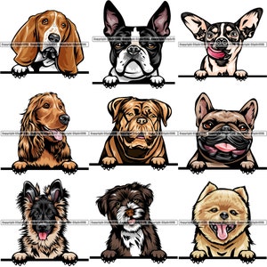 BUNDLE Dog Breeds Peeking Peek-A-Boo Puppy Pup Canine Pedigree Purebred Bloodline Pet Logo Design SVG PNG Clipart Vector Cricut Cut Cutting