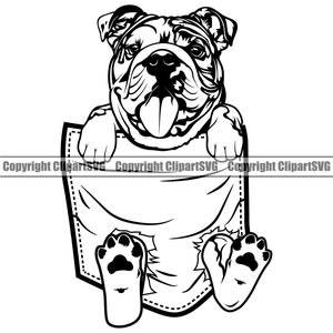 English Bulldog Adorable Dog In Shirt Pocket Paw Puppy Pet Purebred Pedigree Breed Mascot Design Logo SVG PNG Clipart Vector Cricut Cut File