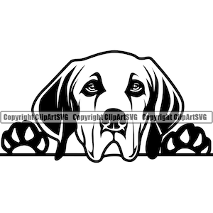 Vizsla Hund Spähen Peek-A-Boo Rasse Pfote Welpe Welpe Haustier Art Weinheimer Design Element Logo SVG PNG JPG Clipart Vektor Cricut Cut Schneidedatei