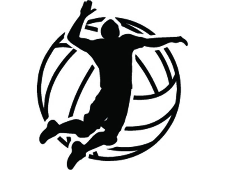 Volleyball Logo 6 Male Mens Boys Ball Player Sport Team ...