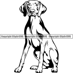 Vizsla Hund Sit sitzend Rasse Glücklich Pfote Welpe Welpe Haustier Englisch Weimaraner Deutsch Wirehaired Pointer Logo SVG PNG Clipart Vektor Schneiden Schneiden