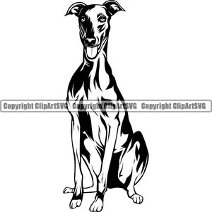 Levriero cane sedersi seduto razza sorriso felice zampa cucciolo cucciolo animale domestico K-9 canino italiano Saluki Whippet arte logo SVG PNG Clipart vettoriale taglio taglio