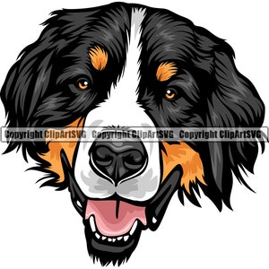 Berner Sennenhund Rasse Glückliches Gesicht Welpe Tier Haustier Stammbaum Reinrassiger Hund K-9 Farbe Art Artwork Design Logo JPG PNG SVG Clipart Vektor