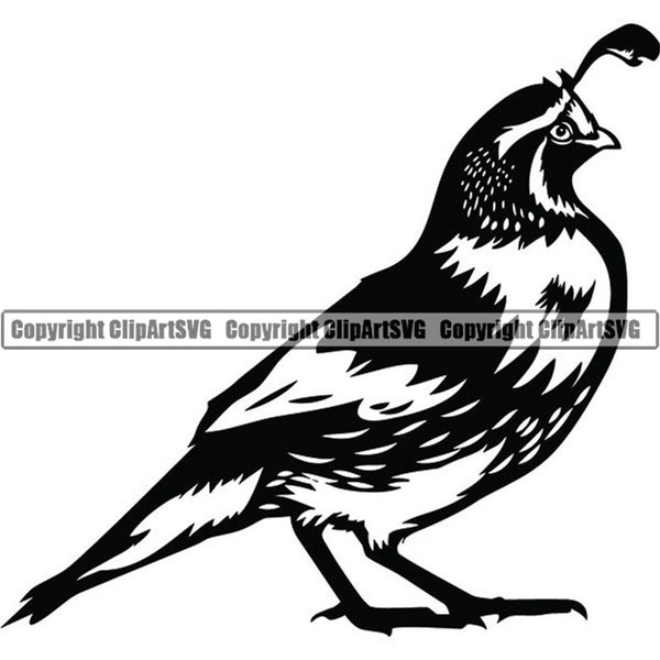 Quail #1 Bird Wildlife Hunting Hunt Game Prey Beak Small Animal Food Dove Feathers Nature Logo .SVG .PNG Clipart Vector Cricut Cut Cutting