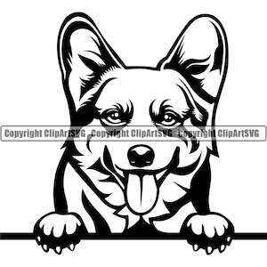 Pembroke Welsh Corgis Hund Spähen Peek-A-Boo Rasse Glücklich Pfote Puppy Welpe Haustier Niedlich Art K-9 Strickjacke Niedlich Logo SVG PNG Clipart Vektor Schneiden Schneiden