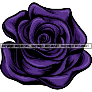 Rosa Púrpura Violeta Rosa Flor Pétalo Amor Ramo Hoja Naturaleza Jardín Floral Flor Bud Diseño Elemento Logo SVG PNG Clipart Vector Cut File