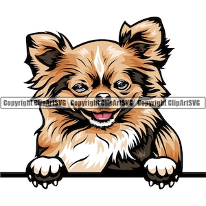 Chihuahua hondenras gluren Peek-A-Boo gelukkig puppy huisdier lang kort haar kleur artwork Papillon Yorkshire Yorkie logo PNG SVG clipart vector