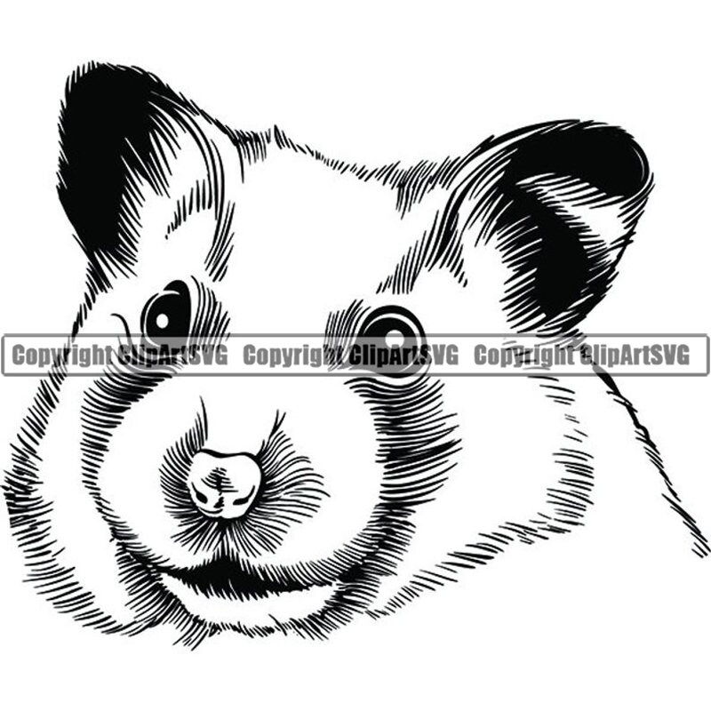 Download Free Hamster 2 Pet Rodent Design Cute Fluffy Cage Domestic Mammal Etsy SVG Cut Files