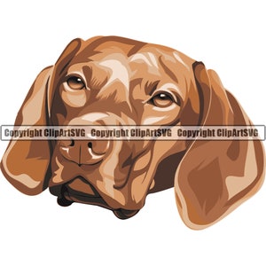 Vizsla Hunderasse Lächelnd Welpe Tier Haustier Happy Hound Stammbaum Reinrassige Hunde Welpe Kunst Kunstwerk Farbe Logo SVG PNG Clipart Vektor Schneiden Schneiden