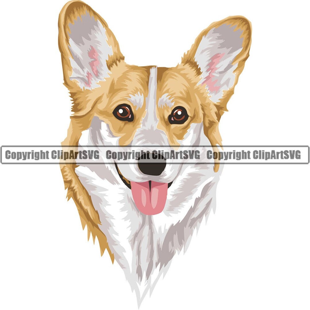 Pembroke Welsh Corgi Dog Breed Head Face Puppy Animal Pet Hound ...