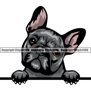 Französische Bulldogge #29 Spähen Pfoten Niedliche Zunge Hunderasse K-9 Tier Haustier Welpe Canine Stammbaum Logo .SVG .PNG Clipart Vektor Cricut Cut Cutting