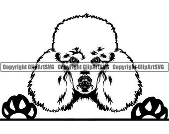 Poodle #54 Peeking Dog Breed Smiling K-9 Animal Pet Puppy Paws Canine Pedigree Logo .SVG .EPS .PNG Digital Clipart Vector Cricut Cut Cutting