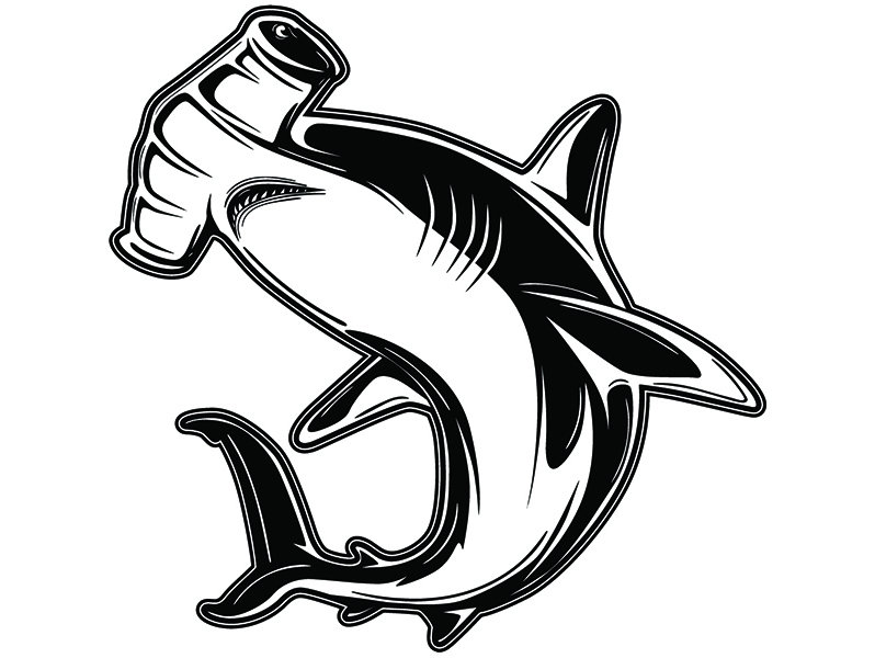 Hammerhead Shark 5 Jaws Ocean Man Eating Predator Animal ...