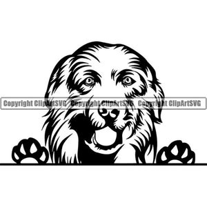Grandes Pyrénées #1 furtivement chien souriant heureux race Golden Retriever chiot K-9 Pedigree Animal Pet Logo. SVG. PNG vectoriel Cricut coupe coupe