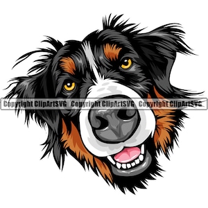 Berner Sennenhund Rasse Glückliches Gesicht Welpe Tier Haustier Stammbaum Reinrassiger Hund K-9 Farbe Art Artwork Design Logo JPG PNG SVG Clipart Vektor