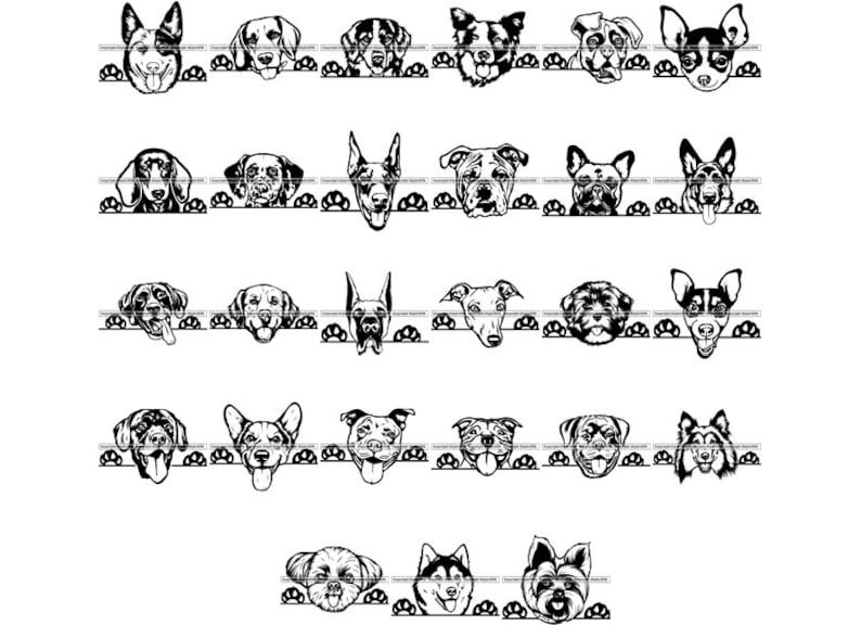 MEGA BUNDLE 27 Peeking Dog Breed  Head Face Puppy Pup Canine Pedigree Purebred Animal Pet Logo Design .SVG Clipart Vector Cricut Cut Cutting 