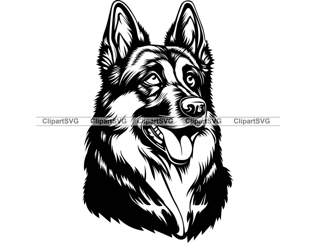German Shepherd Smiling Dog Puppy Face Canine Pet Studio Portrait Paw ...