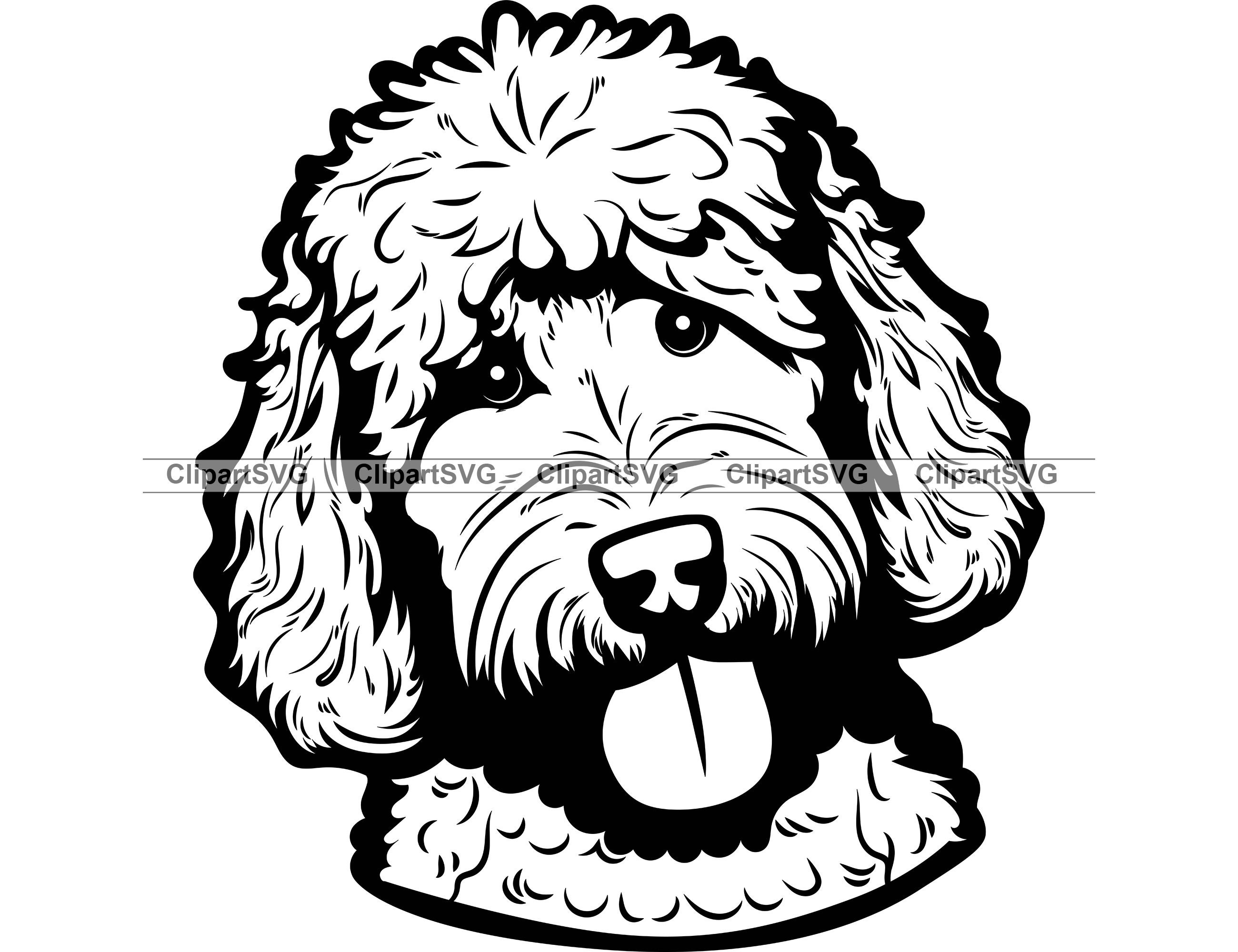 Sheepadoodle Smiling Dog Cute Puppy Face Canine Pet Old