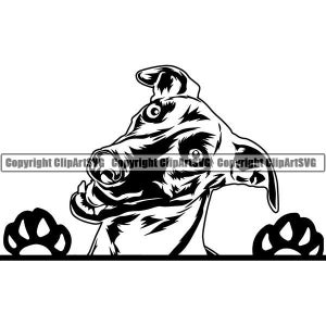 Levriero #19 che sbircia cane razza pedigree canino di razza K-9 animale domestico italiano animale Whippet Logo. SVG. PNG Clipart vettoriale Cricut taglio taglio