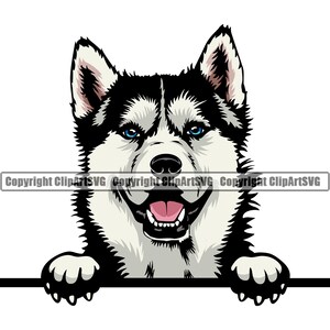 Siberische Husky hond gluren Peek-A-Boo ras puppy dier huisdier stamboom rasechte honden artwork kleur logo SVG PNG clipart vector knippen snijden