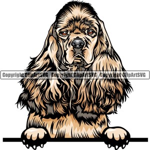 Cocker Spaniel Dog Breed Peeking Peek-A-Boo Face Puppy  Pet Color Artwork English American Labradoodle Yorkiepoo Logo PNG SVG Clipart Vector