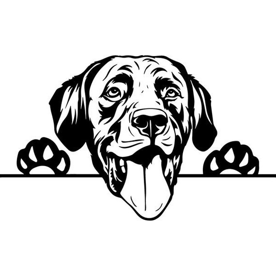 Free Black Lab Svg - 112+ File for Free