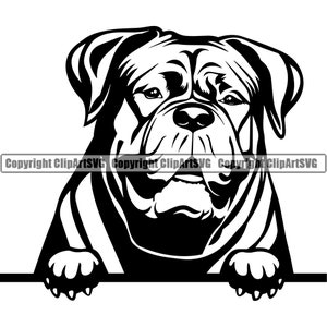 Bordeauxdog hond gluren Peek-A-Boo ras Happy Paw puppy pup huisdier Bullmastiff Engelse Mastiff logo SVG PNG clipart vector knippen snijden