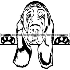 Bloodhound #8 Peeking Dog Paw Puppy Pet Breed K-9 Canine Purebred Pedigree Hound Design Logo .SVG .PNG Clipart Vector Cricut Cut Cutting