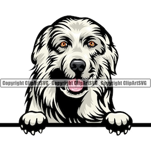 Chien des grandes Pyrénées furtivement Peek-A-Boo Happy Breed Golden Retriever chiot K-9 Pedigree Animal Pet Logo SVG PNG Vector Cricut Cut Cutting File