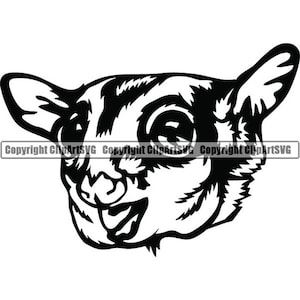 Suiker zweefvliegtuig #2 huisdier vliegende eekhoorn wilde nachtelijke dieren Possum natuur zoogdier schattig Wildlife logo. SVG. PNG clipart vector Cricut knippen snijden