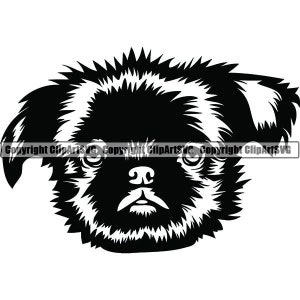 Griffon di Bruxelles #1 adorabile cane sorridente cucciolo zampe pedigree animale domestico razza Griffon Bruxellois Logo. SVG. PNG Clipart vettoriale Cricut taglio taglio