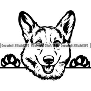 Pembroke Welsh Corgis #2 Peeking Hunderasse Pedigree Canine Cardigan Haustier Jagdhund Tier Logo