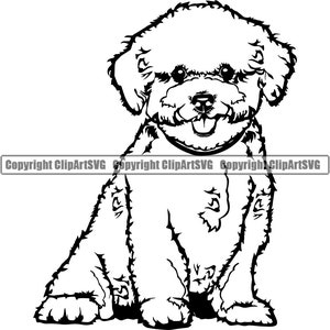 Bichon frisé chien assis assis heureux race patte chiot chiot animal de compagnie fourrure Art oeuvre maltais Shih Tzu bichon havanais Logo SVG PNG Clipart vecteur coupe coupe