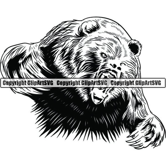grizzly bear shields zip download grizzly bear shields zip download