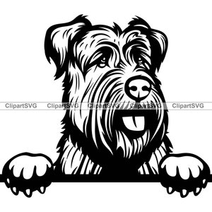 Bouvier Des Flandres Smiling Peeking Dog Cute Puppy Face Canine Pet Portrait Paw Print Cartoon Drawing Art Logo Tattoo Design SVG PNG Cut