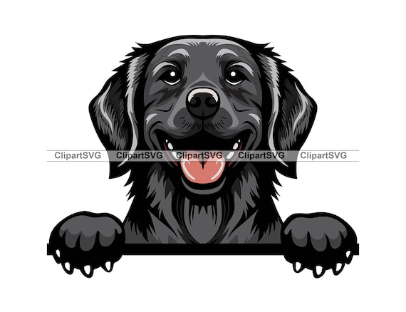 Flat Coat Retriever Umbrella - Pink Flat Coat Retriever Umbrella - Pink