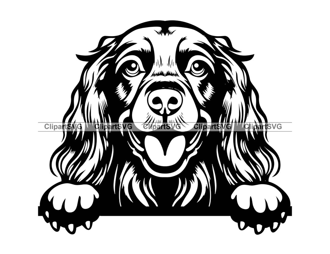 English Cocker Spaniel Smiling Peeking Dog Puppy Face Canine Pet ...