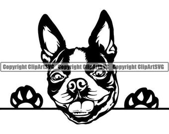 Boston Terrier #14 Peeking Paws Smiling Dog Breed Pedigree K-9 Canine Animal Pet Puppy Hound Logo.SVG .PNG Clipart Vector Cricut Cut Cutting