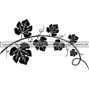 May include: Black silhouette of a grapevine with leaves and tendrils. The vine is curved into an arch shape.