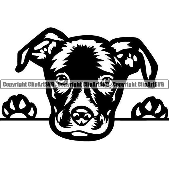 Download American Staffordshire Terrier 12 Peeking Puppy Dog Breed Etsy