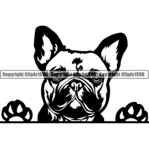Franse Bulldog #24 gluren glimlachend hondenras K-9 dier huisdier Puppy poten Canine Hound stamboom Logo.SVG. PNG Clipart Vector Cricut knippen snijden