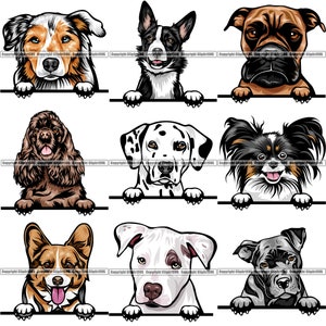 BUNDEL Hondenrassen Gluren Peek-A-Boo Puppy Pup Canine Stamboom Raszuivere Bloedlijn Huisdier Logo Ontwerp SVG PNG Clipart Vector Cricut Cut Cutting