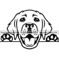 Labrador Dog Peeking Peek-A-Boo Breed Happy Face Puppy Animal Pet Artwork Golden Retriever Lab Hunting Logo PNG SVG Clipart Vector Cut File