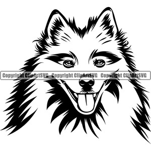 American Eskimo Dog Breed Head Smiling Face Happy Puppy Pup Pet Clip Art K-9 Siberian Husky Logo SVG PNG Clipart Vector Cricut Cut Cutting