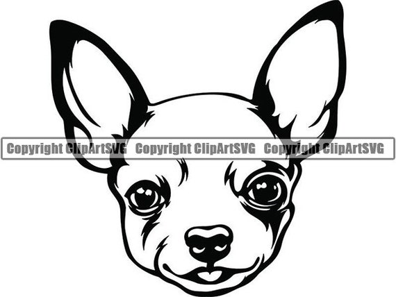 99+ Chihuahua Head Drawing